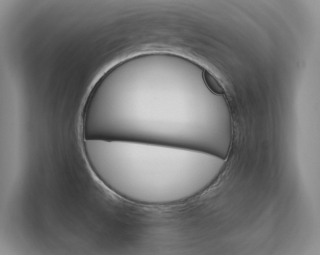 X0000113001527200908270909
