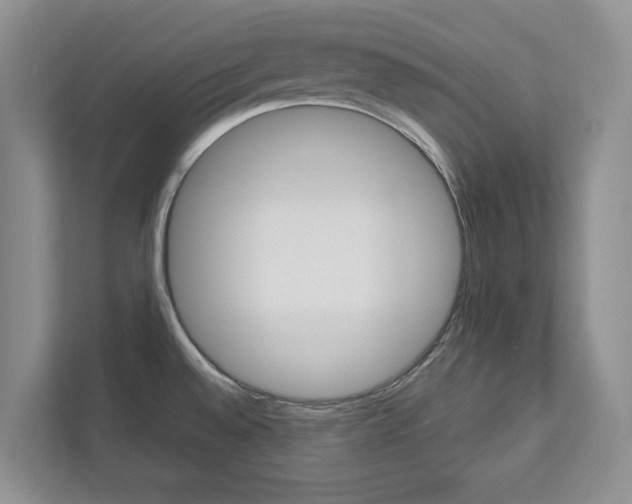 X0000113001528200908270909