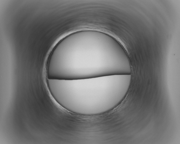 X0000113001531200908270909