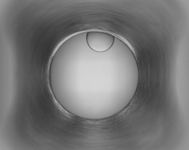 X0000113001532200908270909