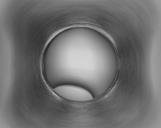 X0000113001533200908270909