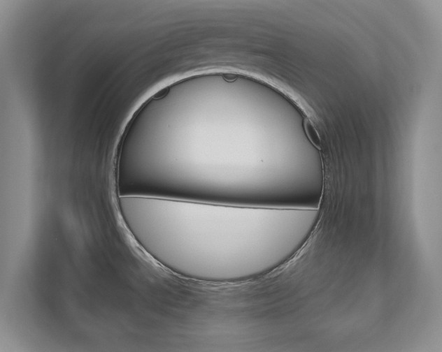 X0000113001534200908270909