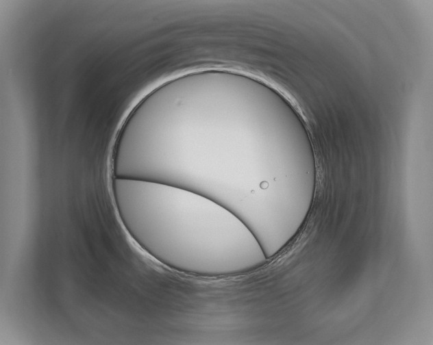 X0000113001535200908270909