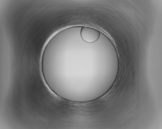 X0000113001536200908270909