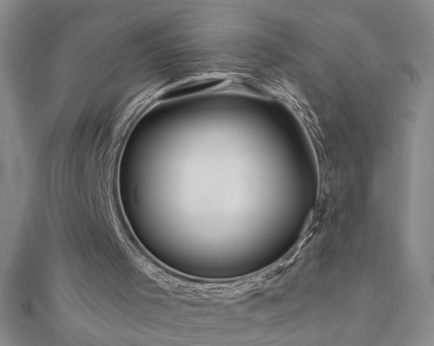 X0000113000001200908271357