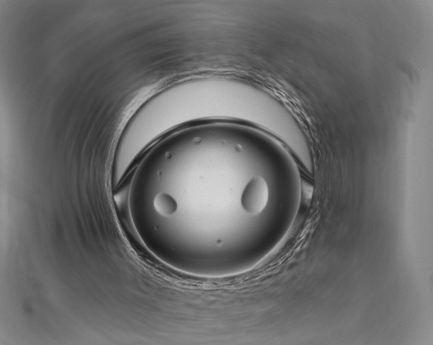 X0000113000003200908271357