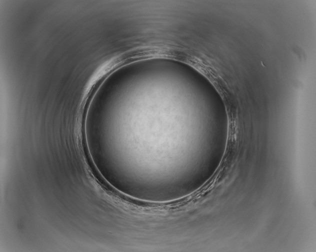 X0000113000004200908271357