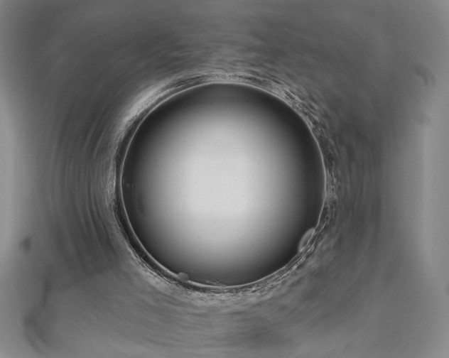 X0000113000005200908271357