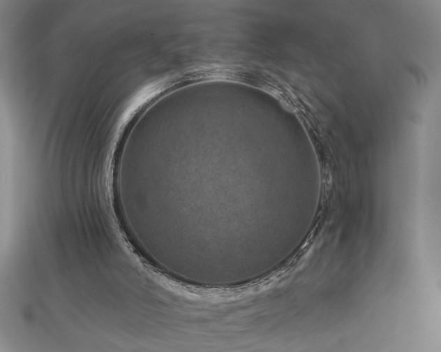 X0000113000006200908271357