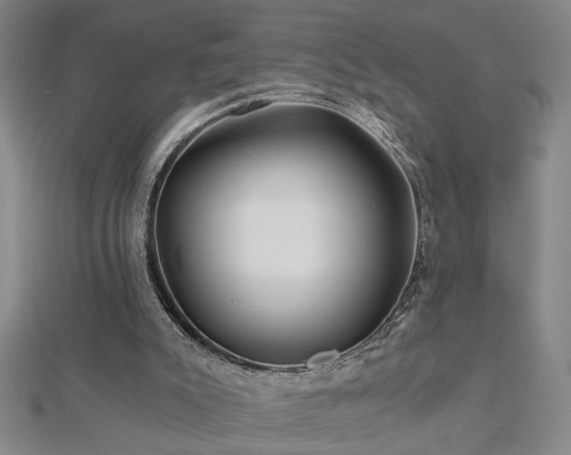 X0000113000007200908271357