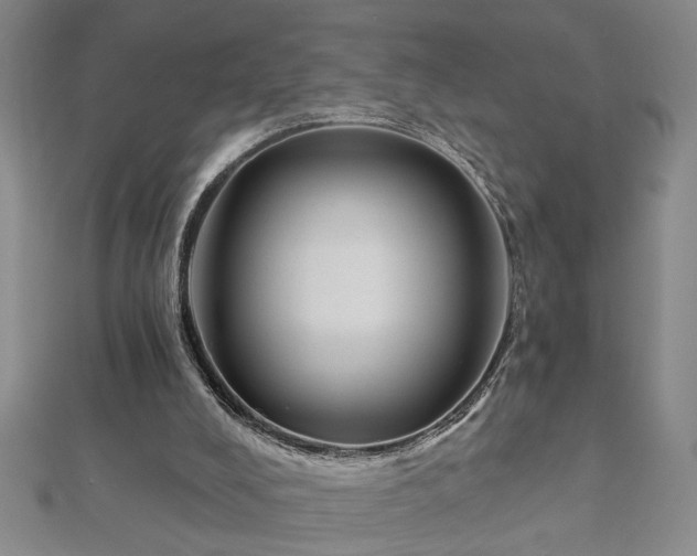 X0000113000008200908271357