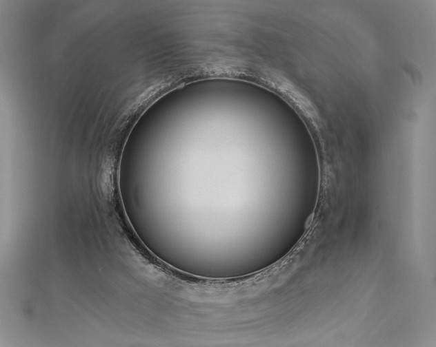 X0000113000009200908271357