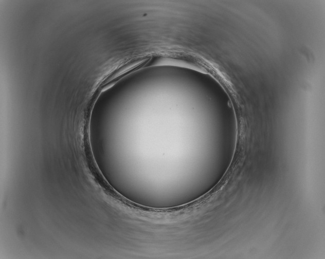 X0000113000010200908271357