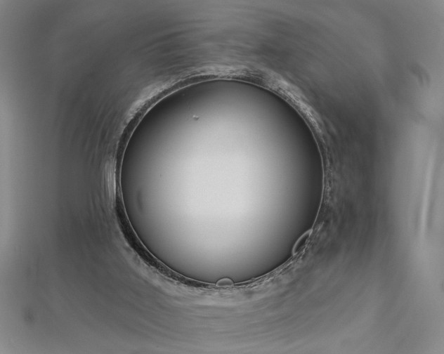 X0000113000011200908271357