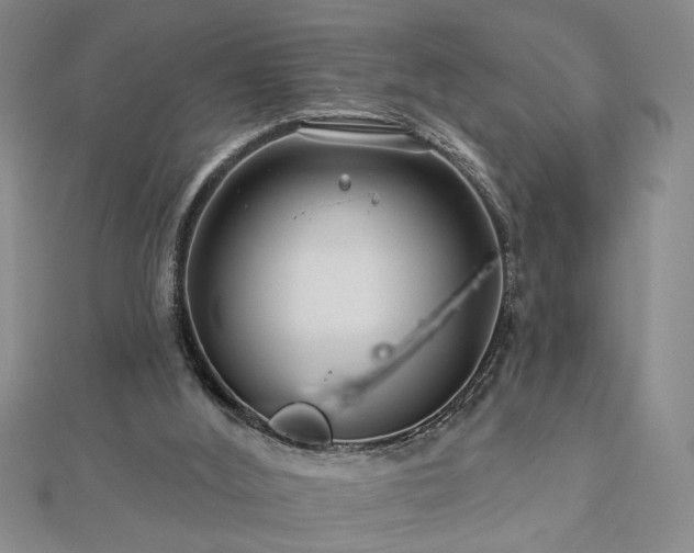 X0000113000012200908271357