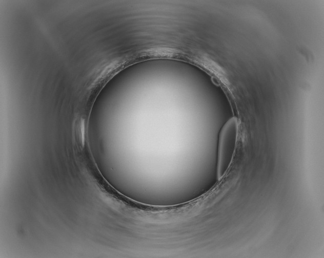 X0000113000013200908271357