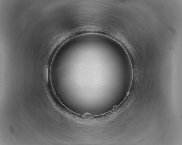 X0000113000014200908271357