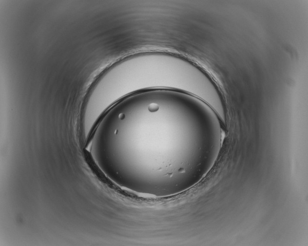 X0000113000015200908271357