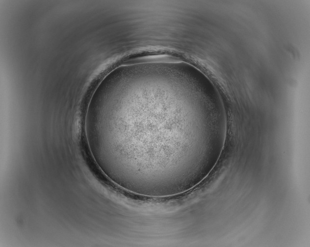 X0000113000016200908271357