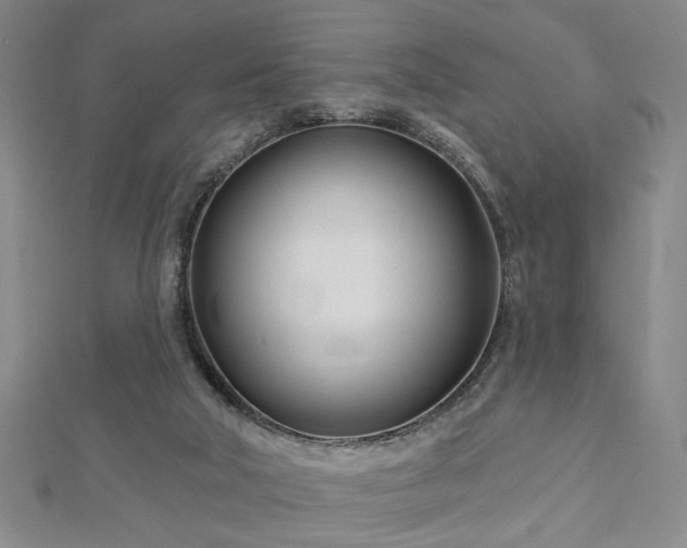 X0000113000018200908271357