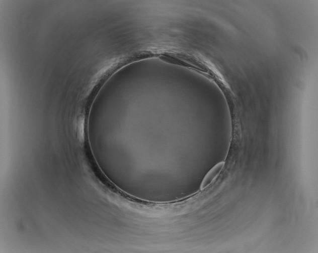 X0000113000019200908271357