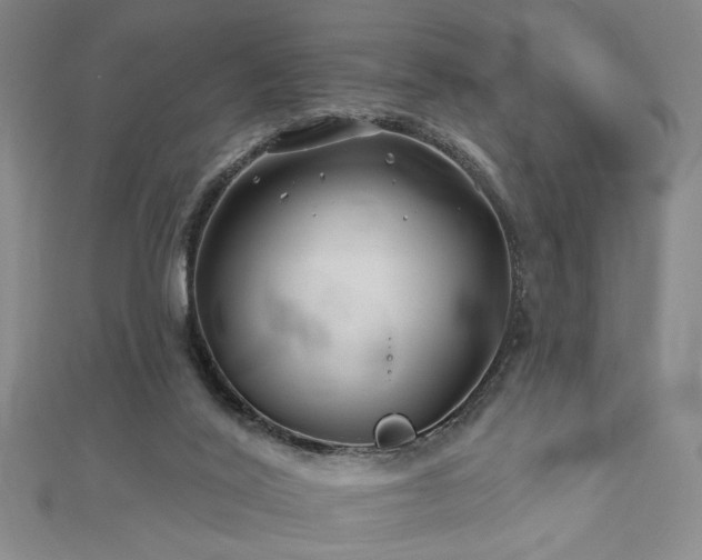 X0000113000020200908271357