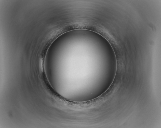 X0000113000022200908271357