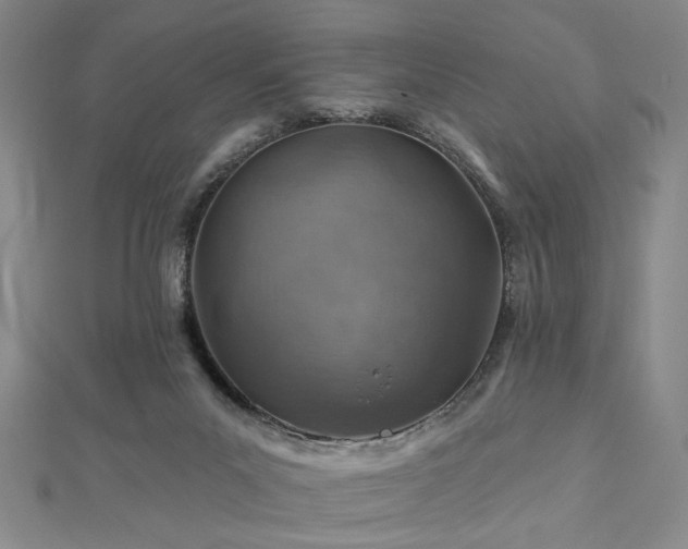 X0000113000023200908271357