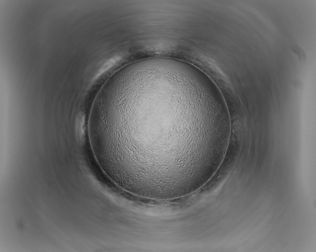 X0000113000024200908271357