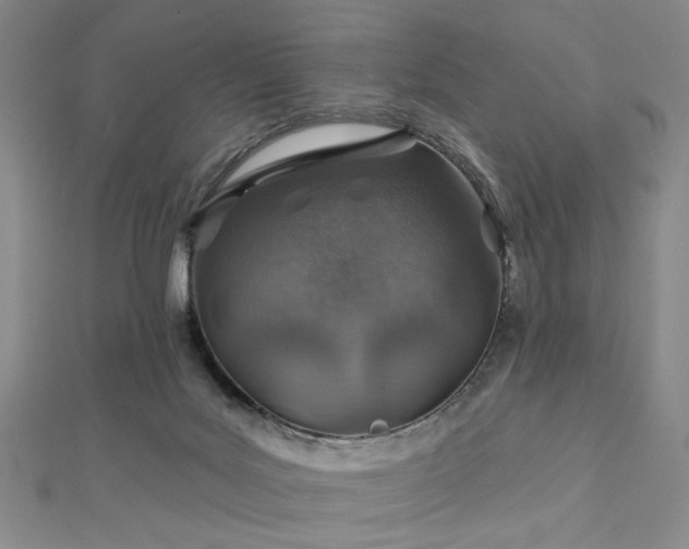 X0000113000027200908271356