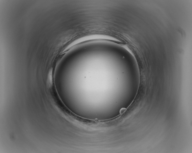 X0000113000028200908271356