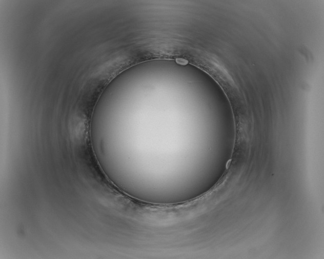 X0000113000029200908271356