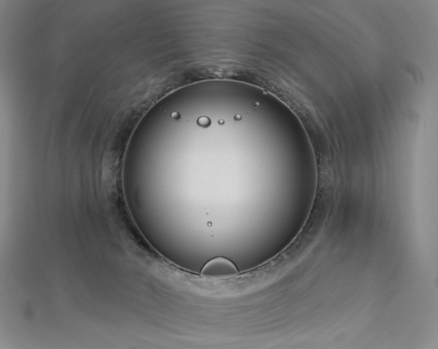 X0000113000030200908271356