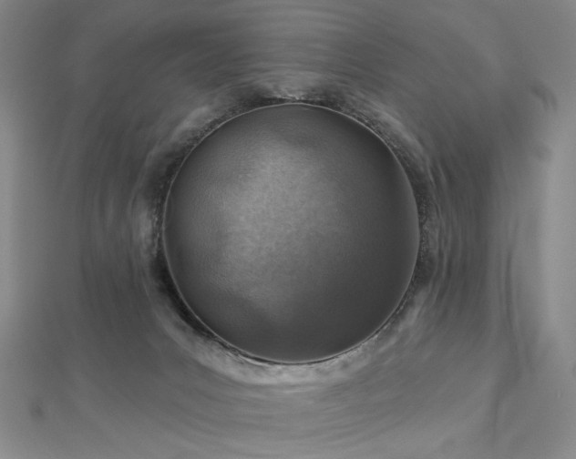 X0000113000031200908271356