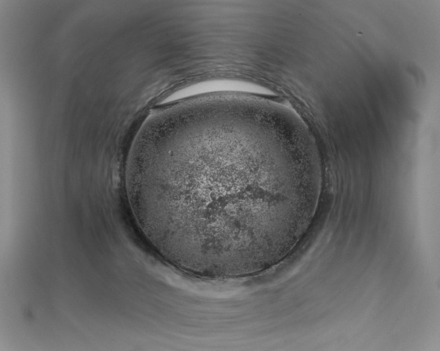 X0000113000032200908271356