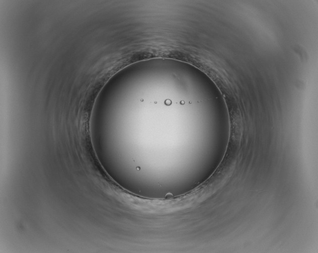 X0000113000034200908271356