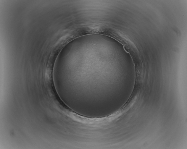 X0000113000035200908271356