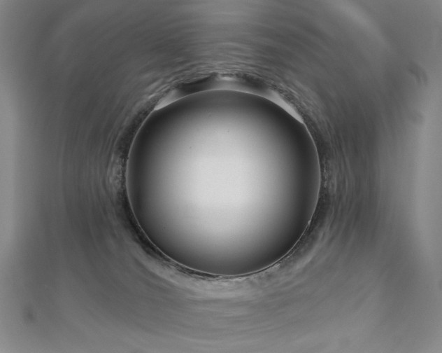 X0000113000036200908271356