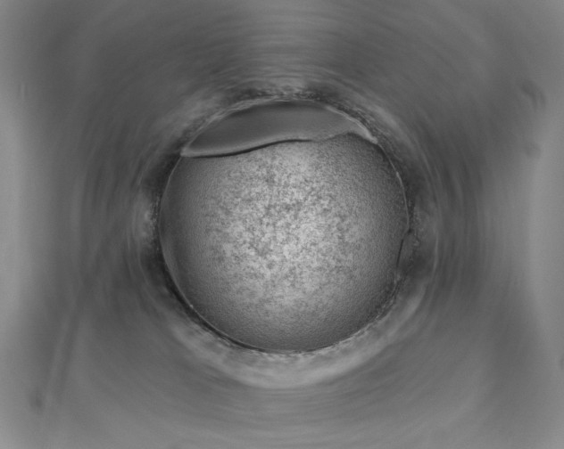 X0000113000037200908271356