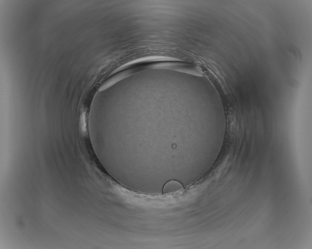 X0000113000042200908271356