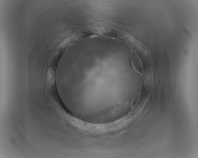 X0000113000043200908271356