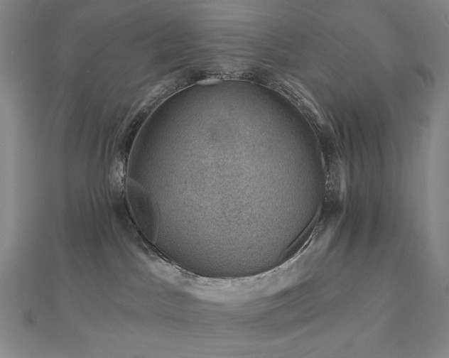 X0000113000045200908271356