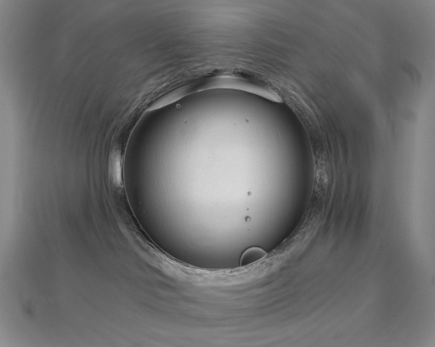 X0000113000046200908271356