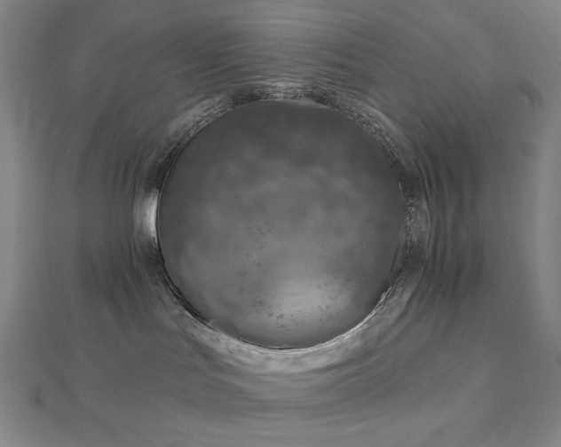 X0000113000047200908271356