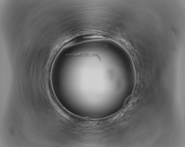 X0000113000049200908271356