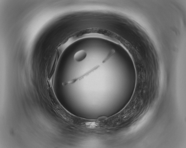 X0000113000050200908271356