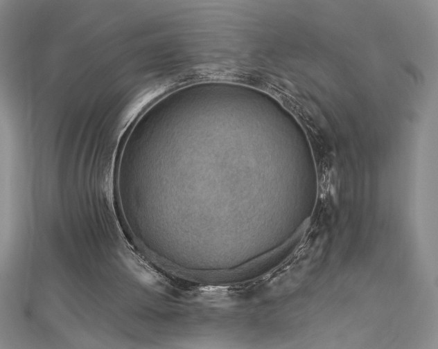 X0000113000052200908271356