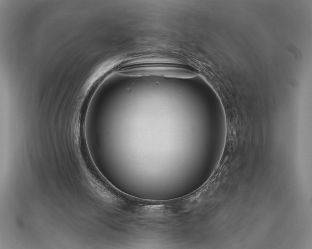 X0000113000054200908271356