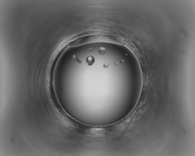 X0000113000055200908271356