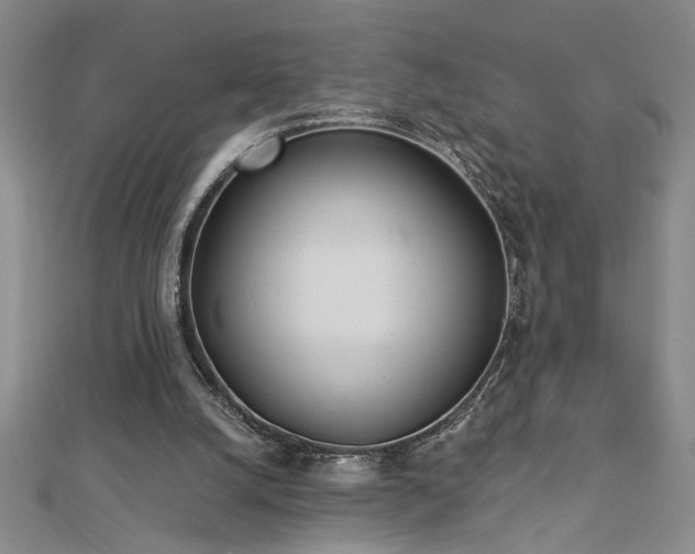 X0000113000056200908271356